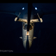 Illustration for article titled Behold The Amazing Images Of This USAF Aerial Refueling Boom Operator